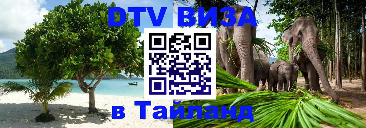 Оформление DTV визы под ключ: стоимость и тарифы, только загранпаспорт - 04.10.2025 